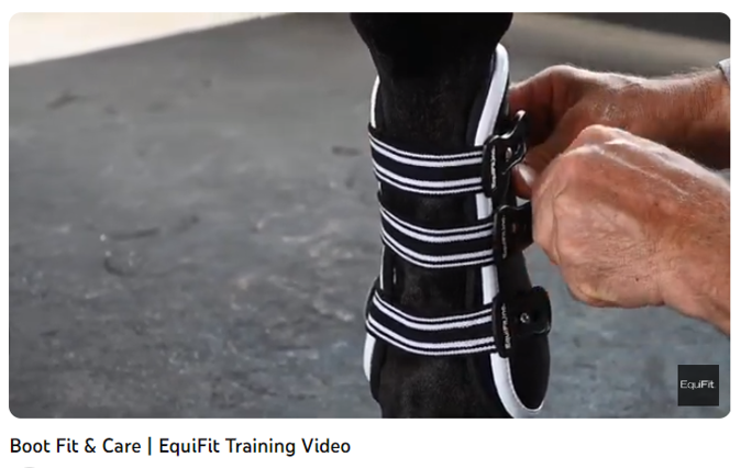 Boot Fit & Care EquiFit Training