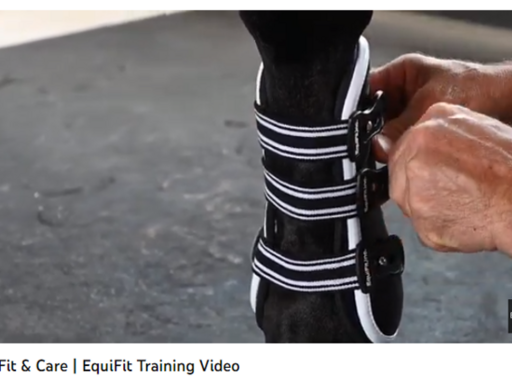 Julkalender: Lucka 5 - Boot Fit & Care | EquiFit Training Video
