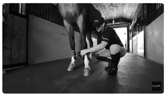 Mclain Ward for EquiFit video
