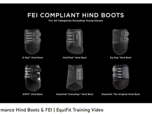 Julkalender: Lucka 6 - Performance Hind Boots & FEI | EquiFit Training Video