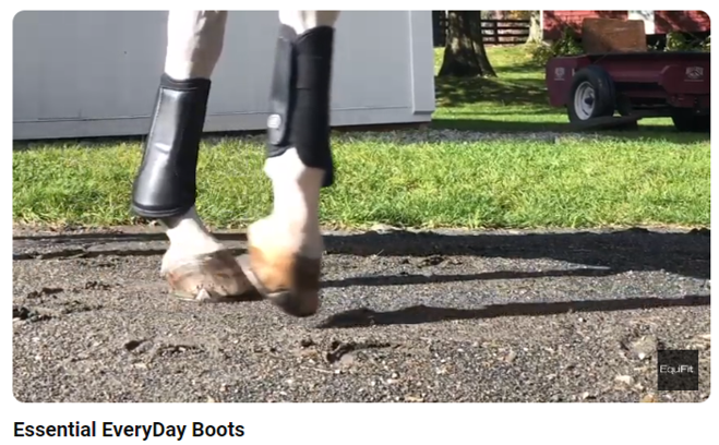 EquiFit Essential EveryDay Boots